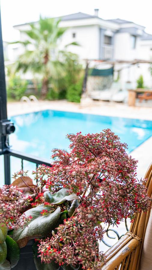 Spacious Villa With Sea And Mountain View ケメル エクステリア 写真